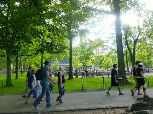 family friendly park in Brooklyn, New York