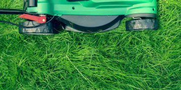 Lawn mower cutting green grass