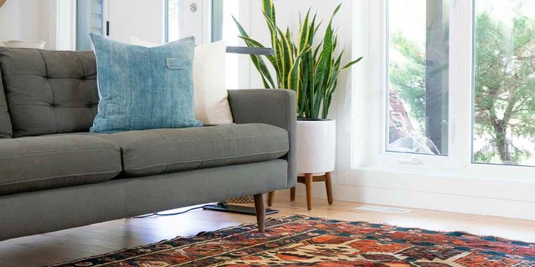 Gray couch and colorful rug