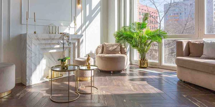 Light airy apartment with plant and chairs