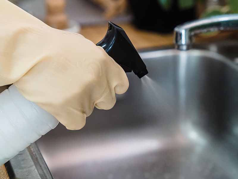 Hand covered in rubber glove holding spray bottle and cleaning.