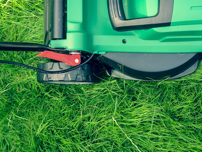 Green push mower.