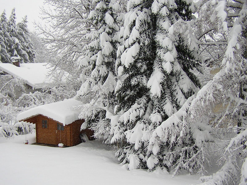 Shed in the snow.