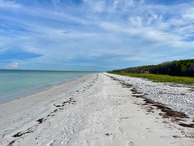 Overview of Honeymoon Island.