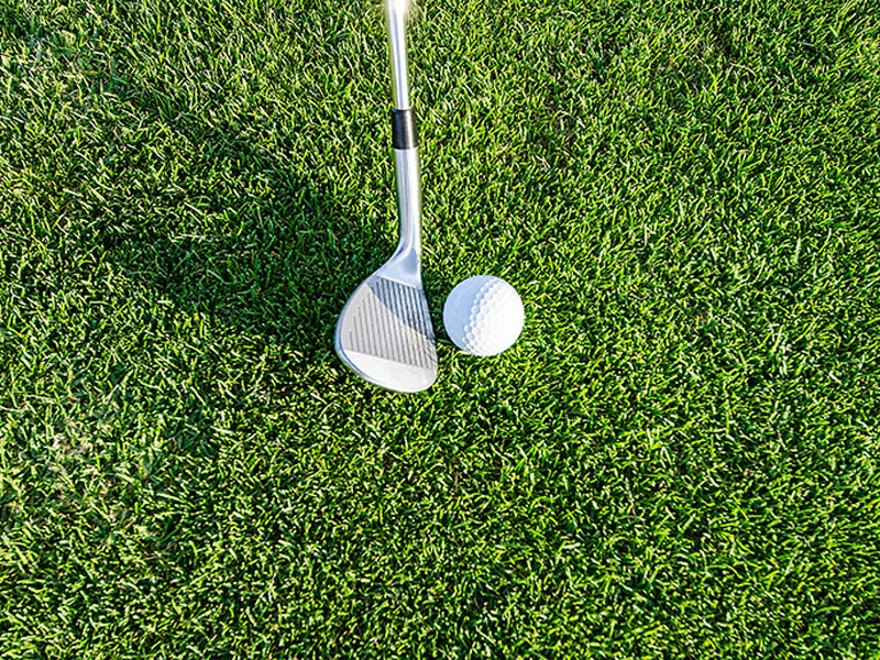 Golf club and golf ball in grass.