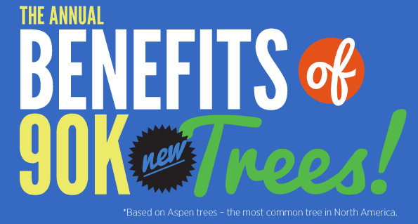 90000-trees-crop