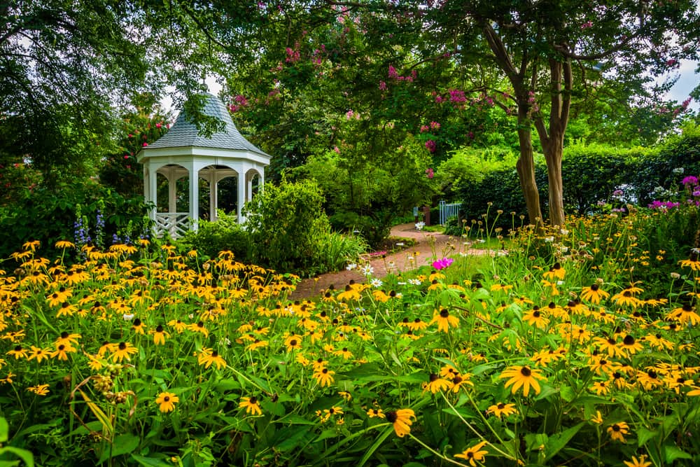 Gazebo in Alexandria Virginia garden