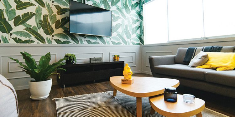 Renter-Friendly Apartment Upgrades