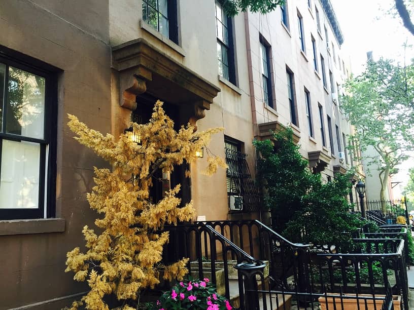 Treelined street with brownstones in Chelsea NYC