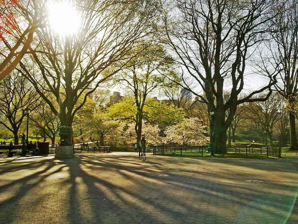 Central Park in the spring