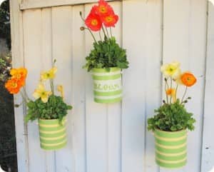 Painted coffee tin planters mounted on a wall