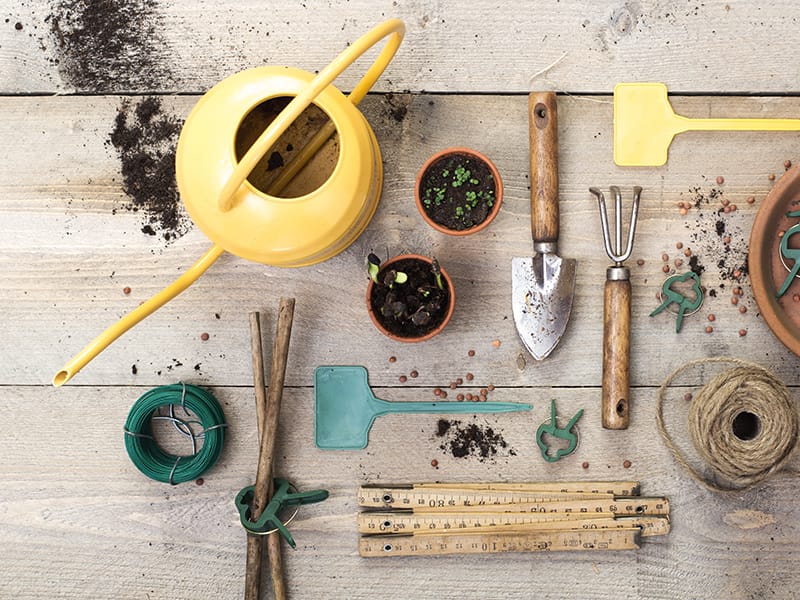 Garden tools on a table