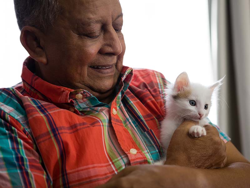 man with kitten