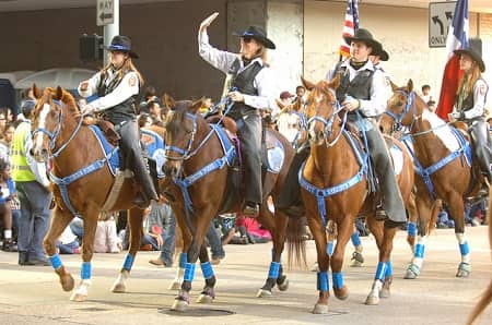 Free things to do in Houston: downtown rodeo parade
