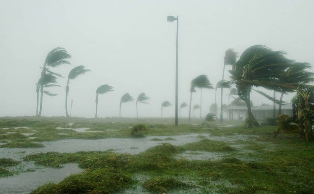 Hurricane in Key West, Florida