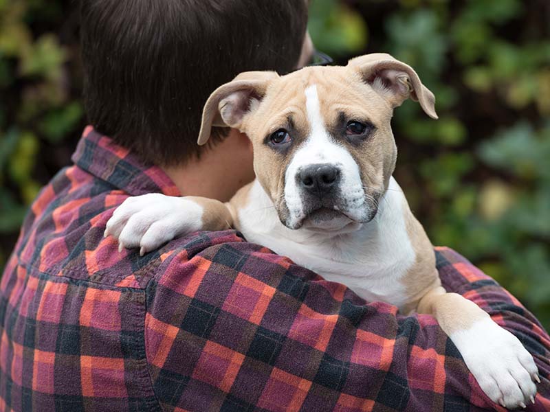 man plaid jacket holding dog