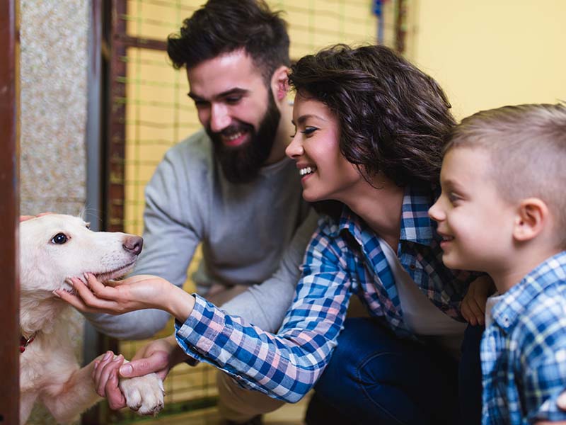 Family and puppy