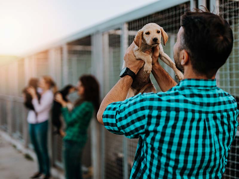 man holding puppy