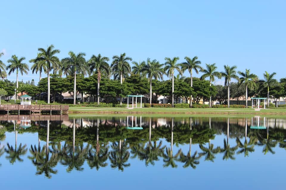 Palm trees along a river in Palm Beach County, FL