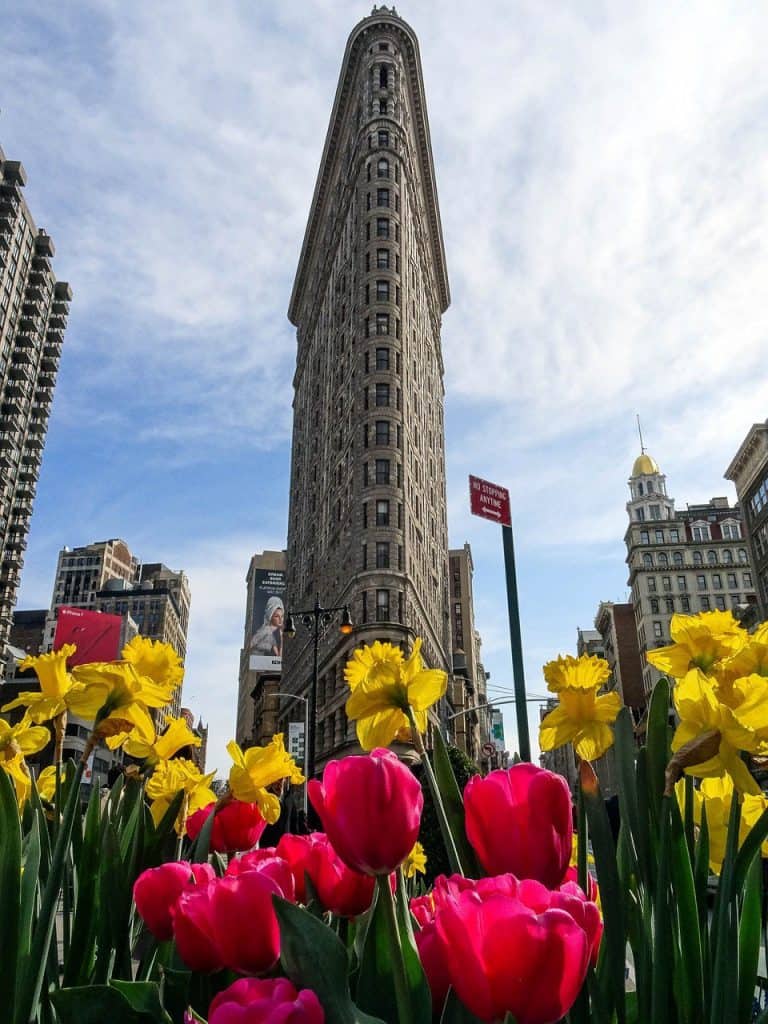 New York Flat Iron Building in spring
