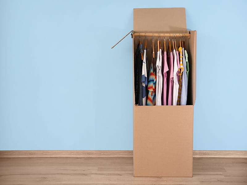 Wardrobe box with clothes