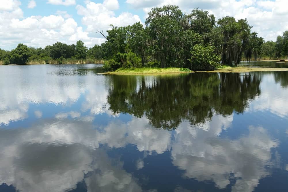 A lake in Pasco County, Florida