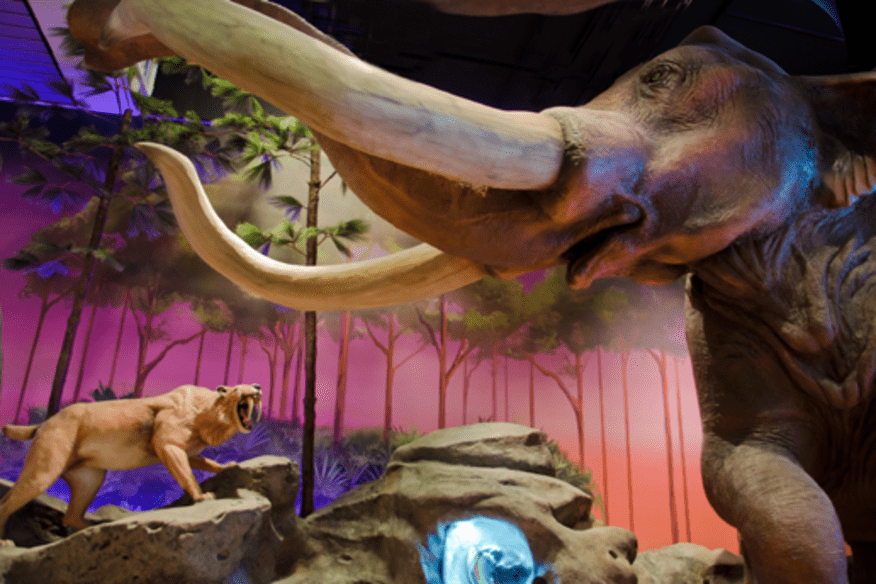 Attraction at the Museum of Science and Discovery in Fort Lauderdale