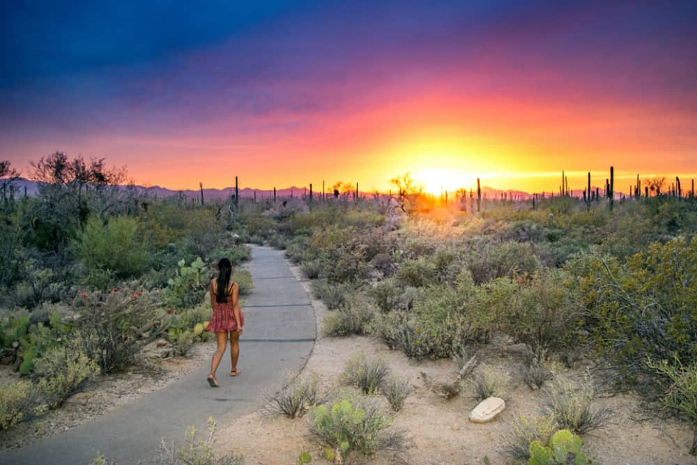 Young Woman Walking on Paved Path in Picturesque Desert Wilderness at Sunset - Saguaro National Park, Arizona, USA