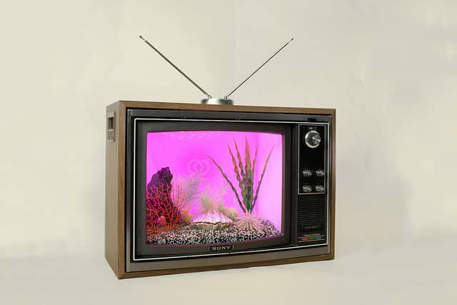 upcyle-tv-fishtank