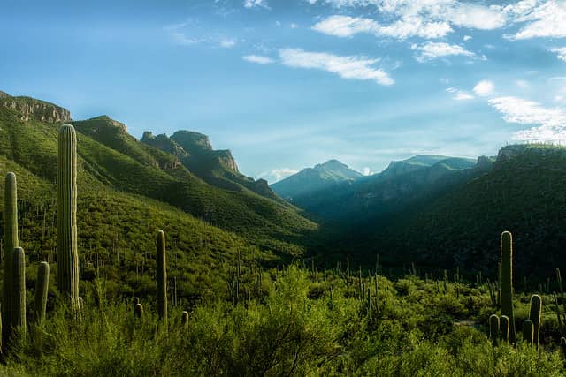 Tuscon, Arizona mountains 