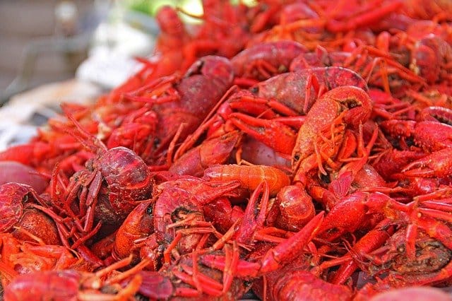 crawfish