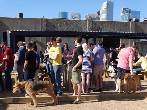 people hanging out on a dog-friendly patio in Houston