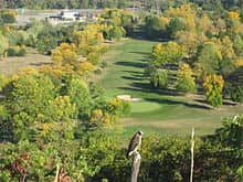 Forest Park golf course Woodhaven, Queens