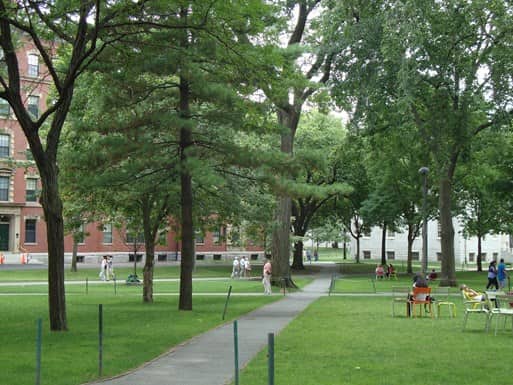 people walking around Harvard in Boston, MA