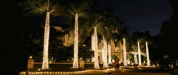 Christmas lights in Miami