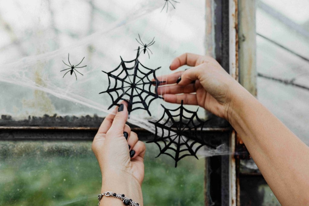 halloween decor spider webs and spiders