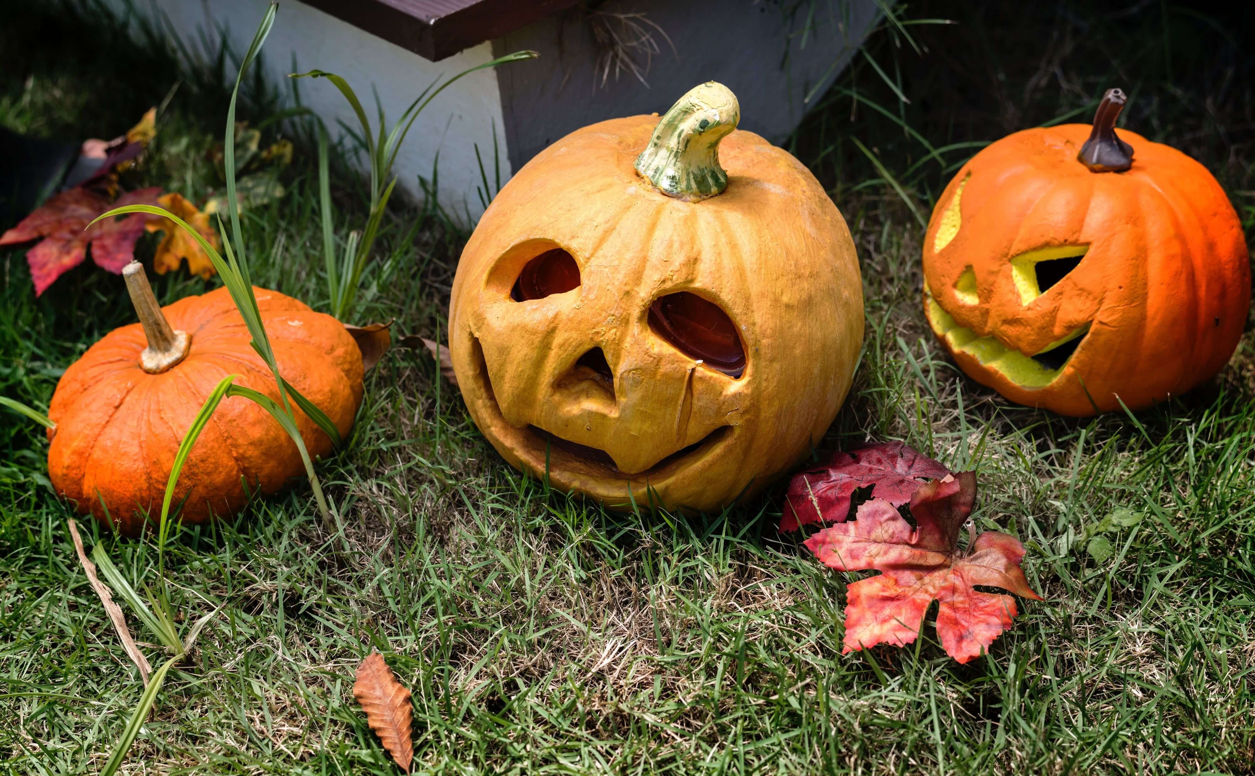 Halloween pumpkins used as outdoor decorations