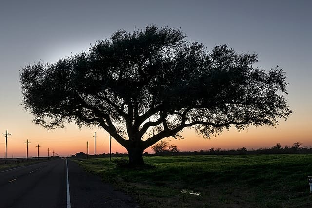 texas sunset