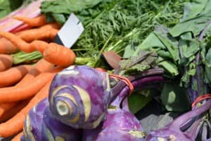vegetable-storage-3