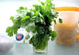 vegetable-storage-fresh-herbs