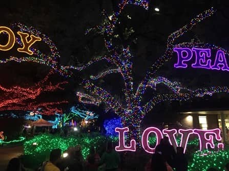 holiday zoo lights in Houston, Texas